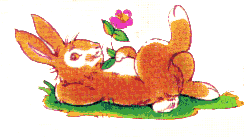 Zu